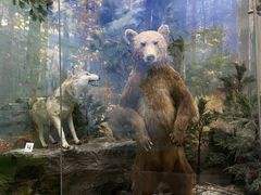 -国家自然博物馆