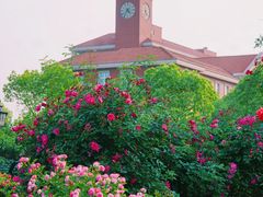 -上海交通大学(闵行校区)