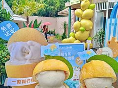 -苏小糖(鼓浪屿三丘田花园店)