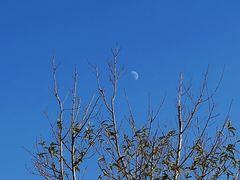 -春花秋色城市公园