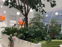 -大树餐厅(红旗街万达店)