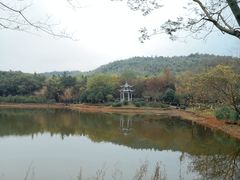 -游子山休闲旅游区