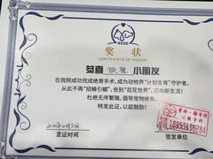 -爱佳宠物中心医院24H·CT·骨外科·猫专科(瑶海万达店)