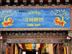 -古树酸奶(八廓南街店)