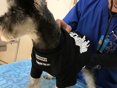 -芭比堂动物医院·犬猫全科·异宠专科(雁塔分院)