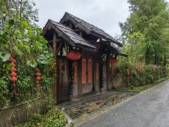 -东平国家森林公园