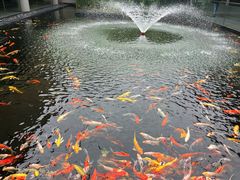 -太子园林酒家