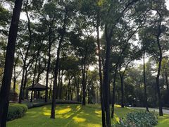 -云溪植物园