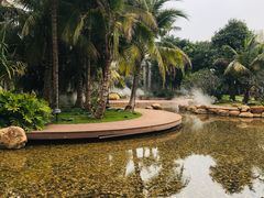 -海花岛旅游度假区