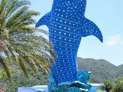 -珠海长隆海洋王国