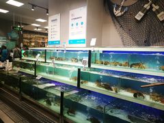 -盒马渔市(平高企业集团·平高广场店)
