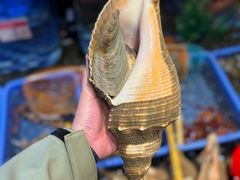 -吴记富苑(朝阳店)