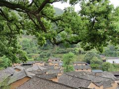 -杨家堂村