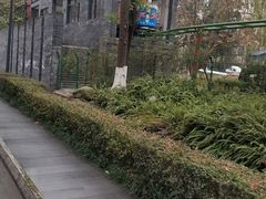 -成飞公园