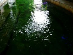 -泉城欧乐堡戏水湾艺术养生温泉