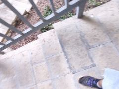 -百色大石围天坑群