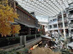 -京参 • 擂椒饭(这有山店)
