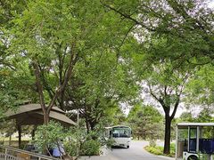 -秦始皇帝陵博物院-丽山园