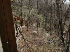 -大岭沟猕猴桃谷风景区