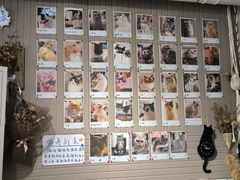 -平行世界·猫咖(首经贸店)