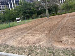 -佛冈熹乐谷温泉度假酒店