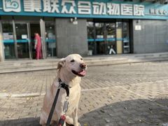 -美联众合动物医院·24h转诊中心