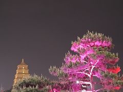 -大慈恩寺(大雁塔)