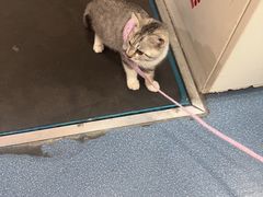 -宠颐生宠物医院外科·内科·皮肤科·影像科(石龙店)