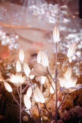 -曼格纳婚礼艺术中心(张江店)