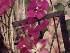-东方之珠海鲜酒楼(南开店)