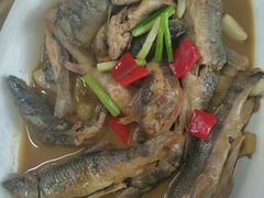 -芦茨金富饭庄·25年老字号·专做稻草鸡