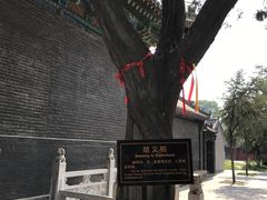 -关林