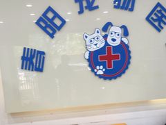 -暖阳宠物医院·犬猫康复中心·骨科