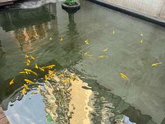 -觀芷隐轩