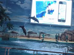 -福州罗源湾海洋世界旅游区