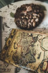 -西安威斯汀大酒店·宴会厅