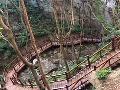 -大岭沟猕猴桃谷风景区