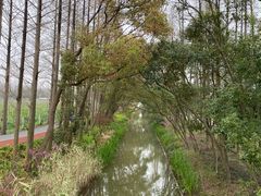 -上海长兴岛郊野公园