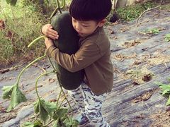 iphone_upload_pic-阿林有机农庄