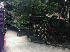 -威邵鸡煲(西华路总店)