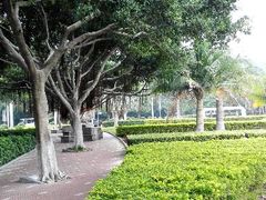 android_upload_pic-厦门途易蓝罗约海景温泉酒店(园博苑地铁站店)
