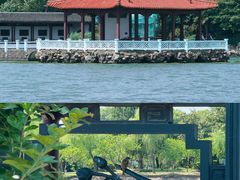 -无锡蠡湖国家湿地公园-蠡园