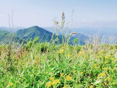 -浙东第一尖雪山欢乐谷