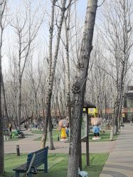 -蓝可可亲子乐园(北苑店)