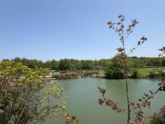 -宜兴龙背山森林公园