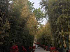 -红螺寺