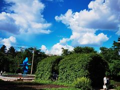 -黑龙江省森林植物园
