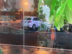-一代菌王·竹荪鹅(江苏旗舰店)