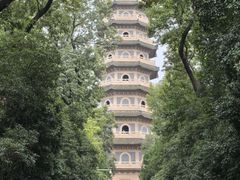 -灵谷景区