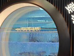 -鱼酷活鱼烤鱼(山西旗舰店)